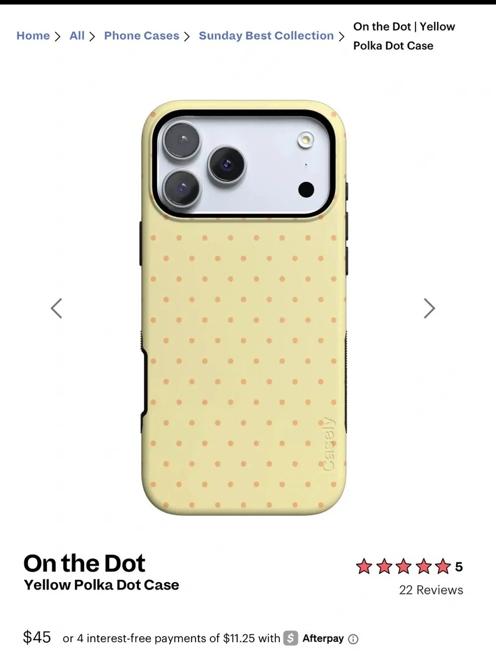 Casely - on the dot case